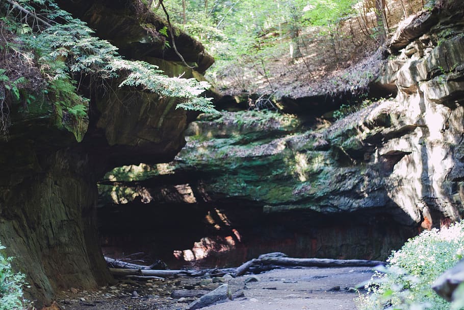 nature, rocks, river, cave, wood, water, trees, plants, moss HD wallpaper