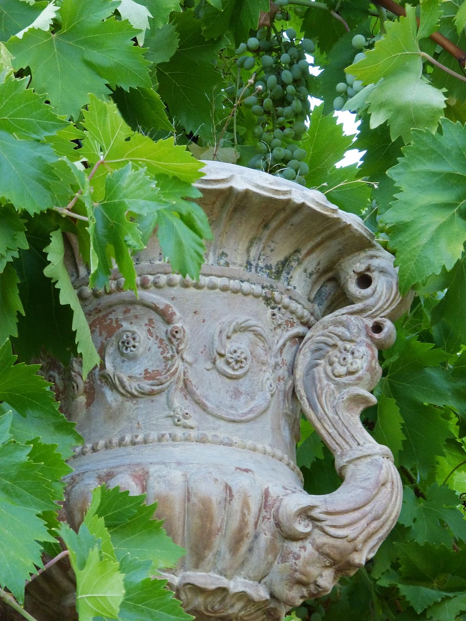 vase, terracotta, old, decoration, terrace, planter, vintage, HD wallpaper