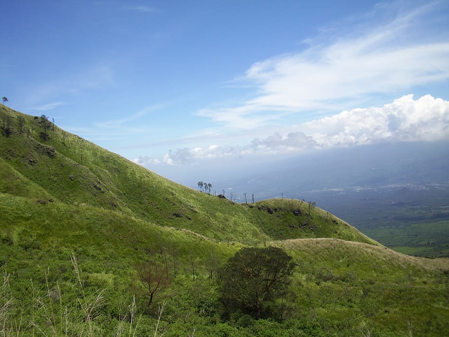 the meadow, savanna, java, east, mount, indonesian, scenics - nature HD wallpaper