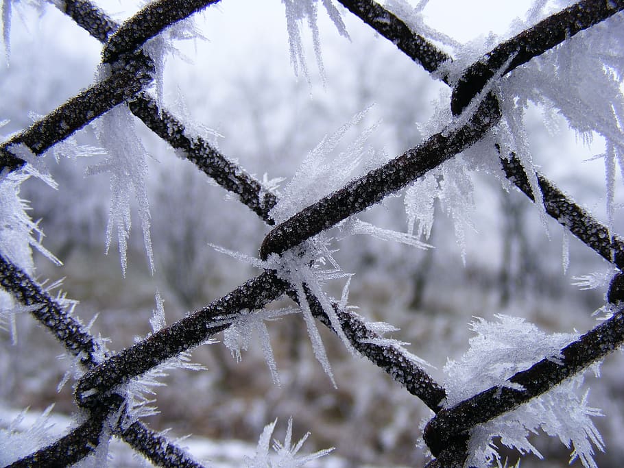 winter, crystals, flakes, snowy, white, icy, ice, cold, frozen HD wallpaper