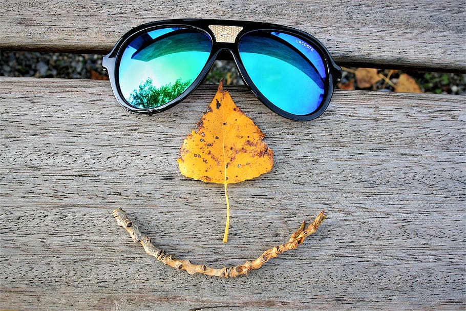 blue Aviator sunglasses with black frames, a smile, leaf, autumn