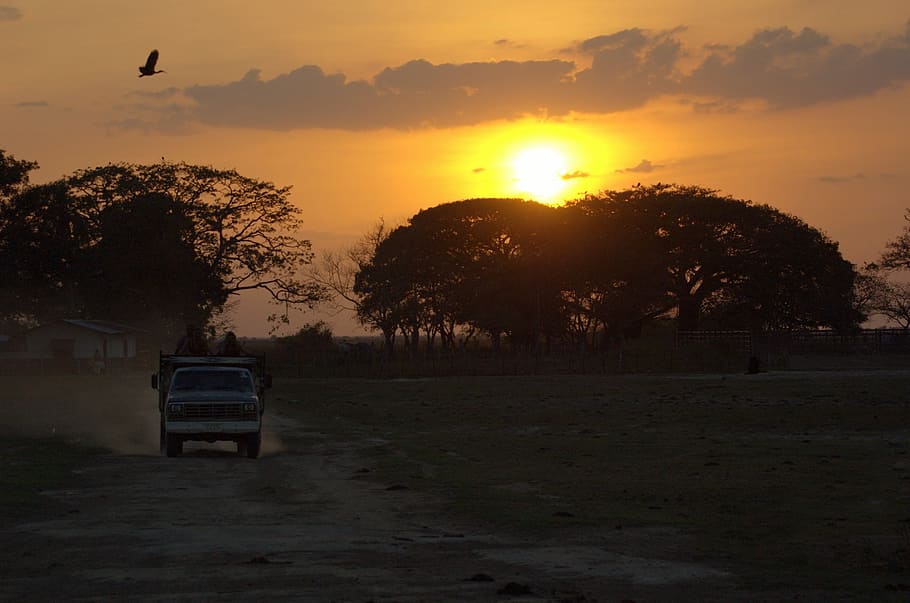 Sunset, Track, Venezuela, tree, silhouette, sky, land vehicle HD wallpaper