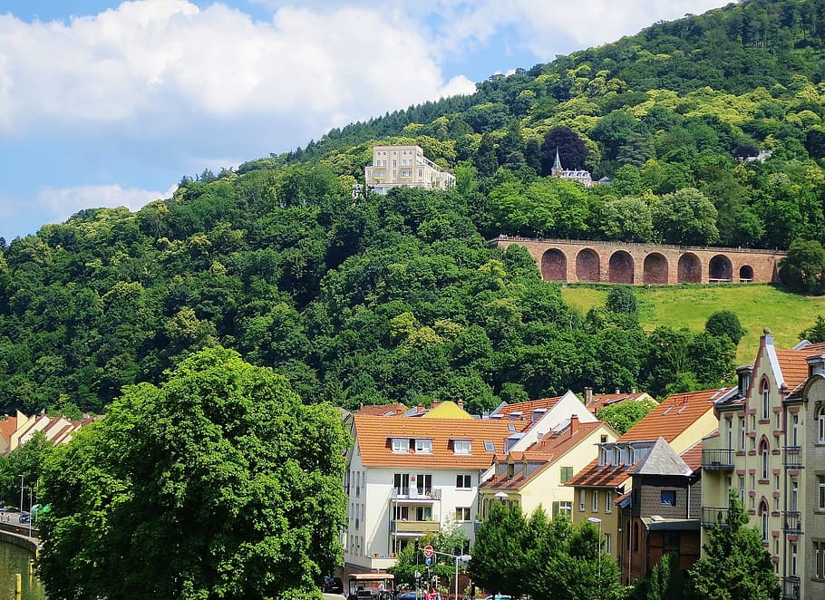 Heidelberg, Castle, Fortress, Building, germany, europe, architecture, HD wallpaper