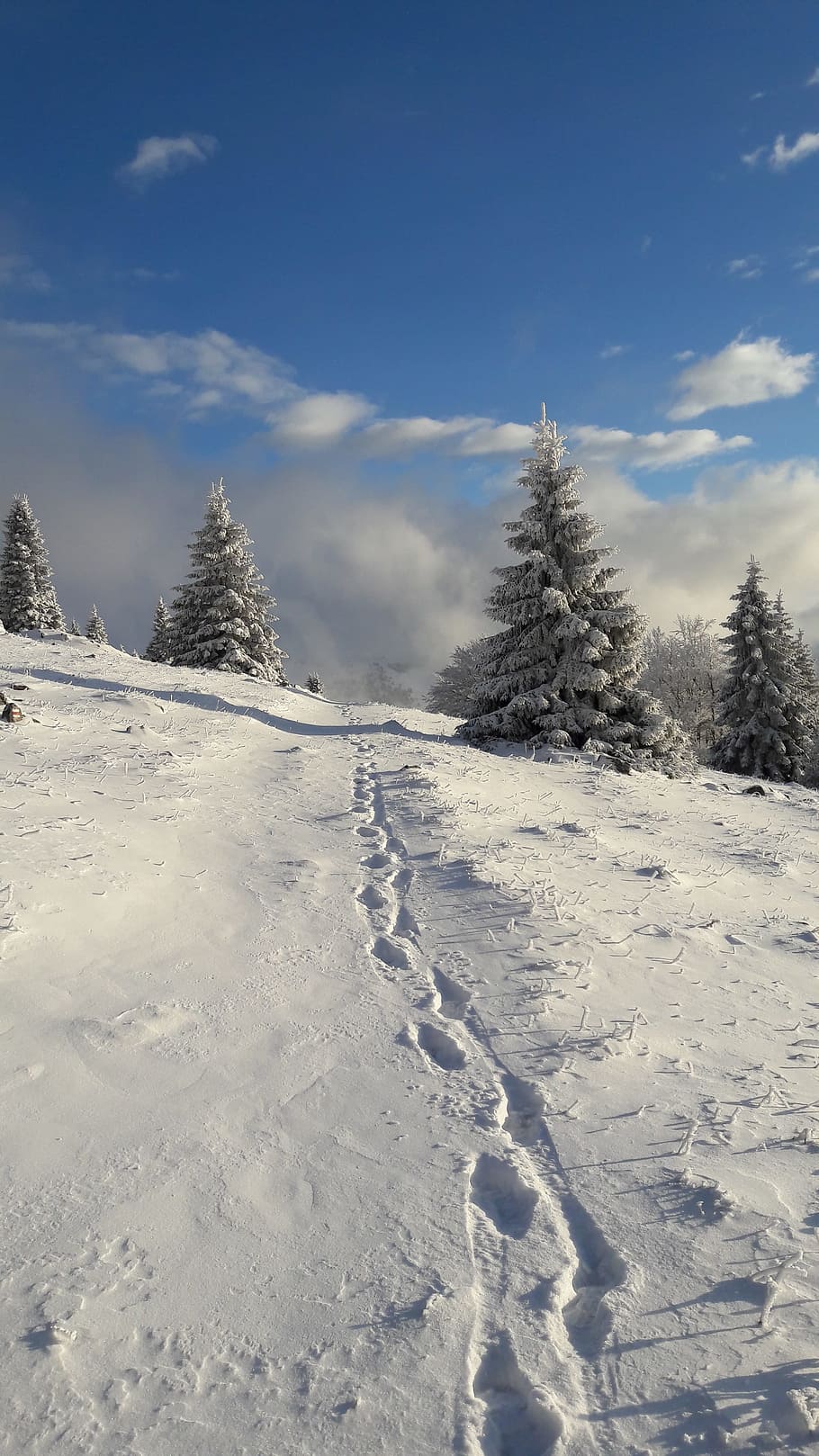 Path, Footprints, Hike, Tourism, Sun, winter, the clouds, snow HD wallpaper