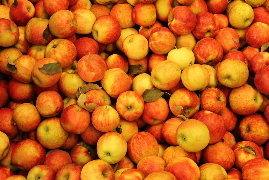 apples, red, red apple, fruit, food, nature, healthy, diet HD wallpaper