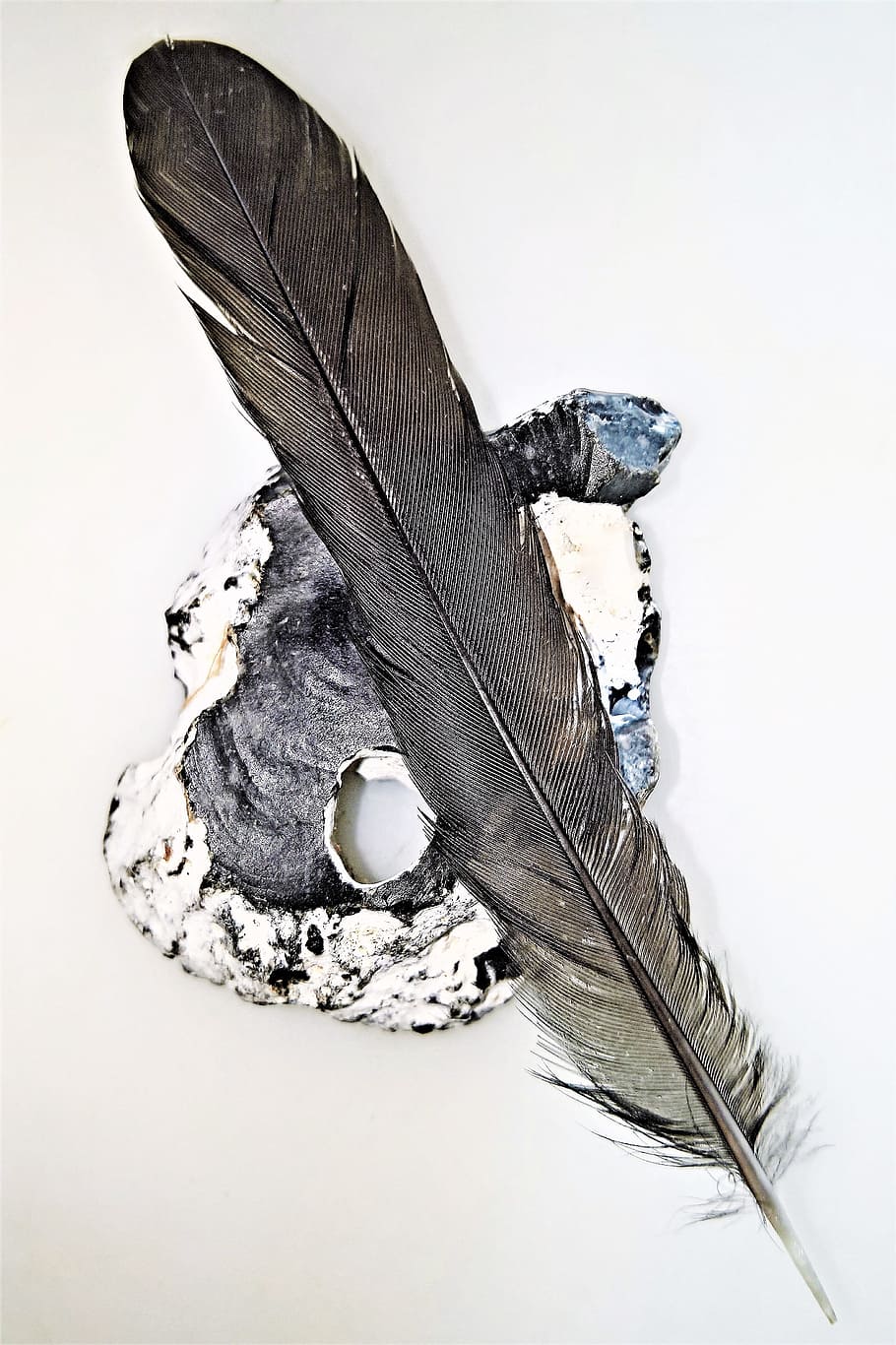 black feather on white surface, bird feather, stone, brick HD wallpaper