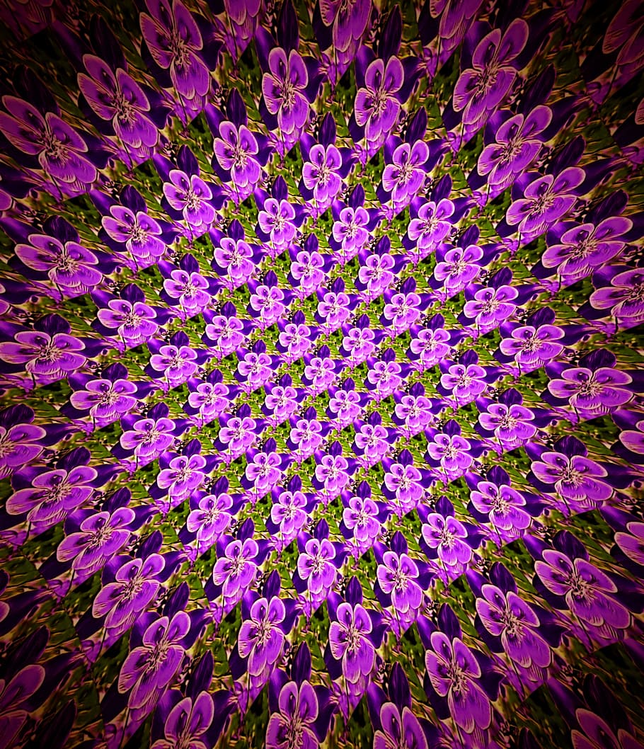 flower, pattern, purple, floral, design, decoration, decorative HD wallpaper
