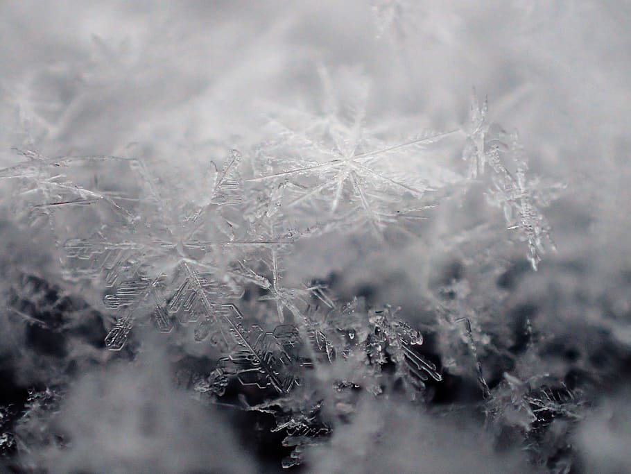 snow, winter, ice, cold temperature, snowflake, no people, plant HD wallpaper