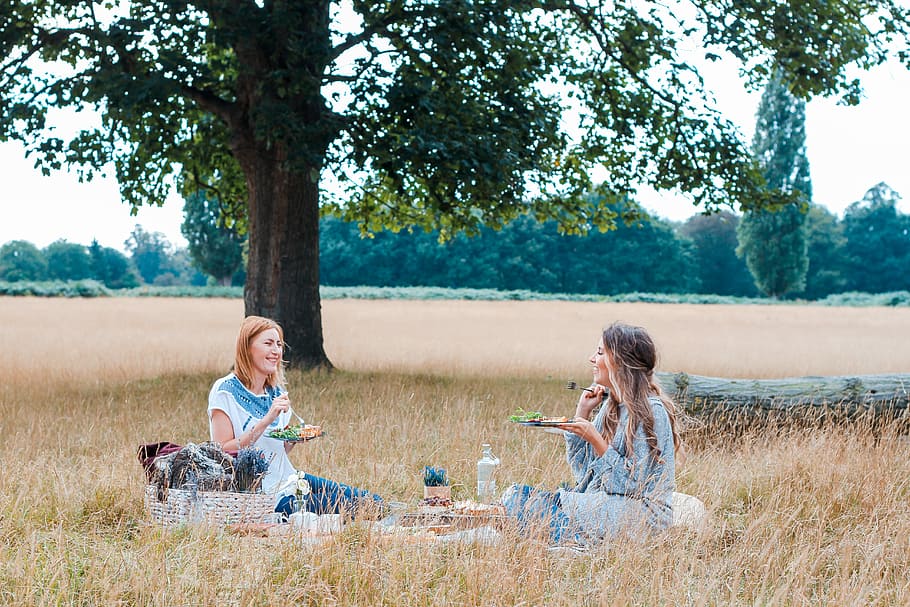 two women sitting on mat under tree, wild life, forest, nomand HD wallpaper