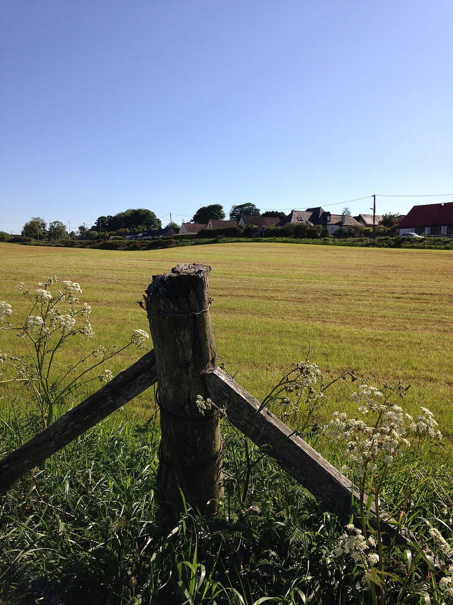fence, post, field, rural, grass, green, wooden, wire, meadow HD wallpaper