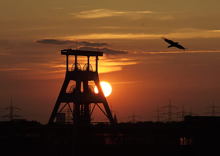 silhouette of mill and eagle gliding, ruhr area, bill, headframe HD wallpaper