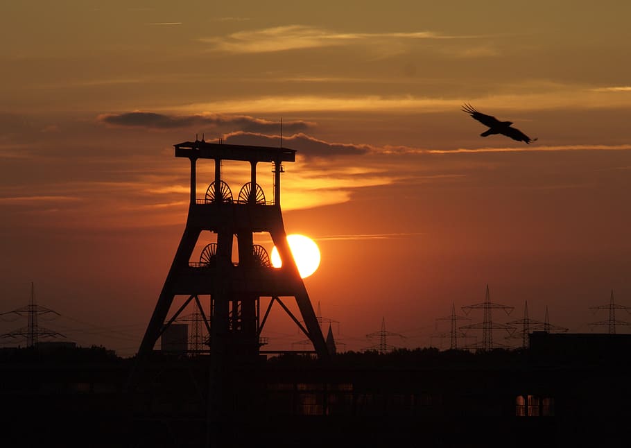 silhouette of mill and eagle gliding, ruhr area, bill, headframe HD wallpaper