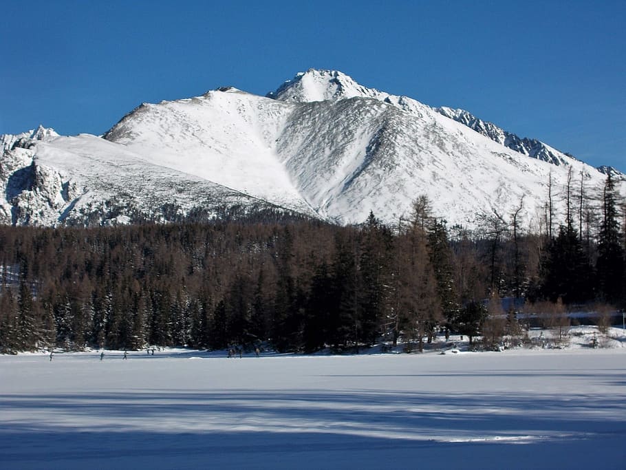winter, snow, forests, nature, mountains, country, tree, slovakia HD wallpaper