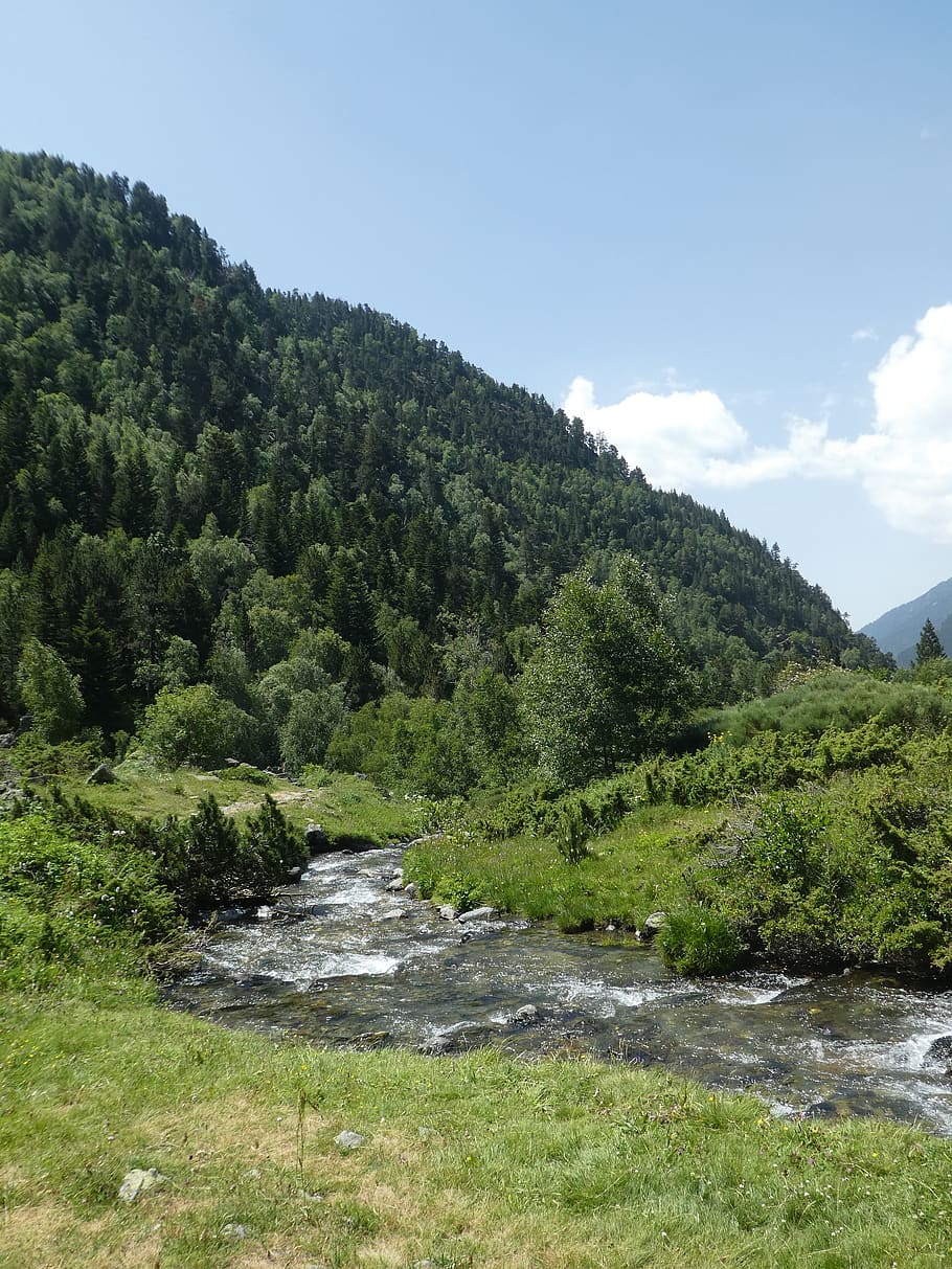 river, trees, mountain, andorra, plant, sky, beauty in nature HD wallpaper