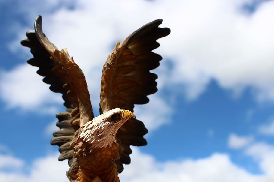 eagle, bird, wings, flying, sculpture, art and craft, statue HD wallpaper