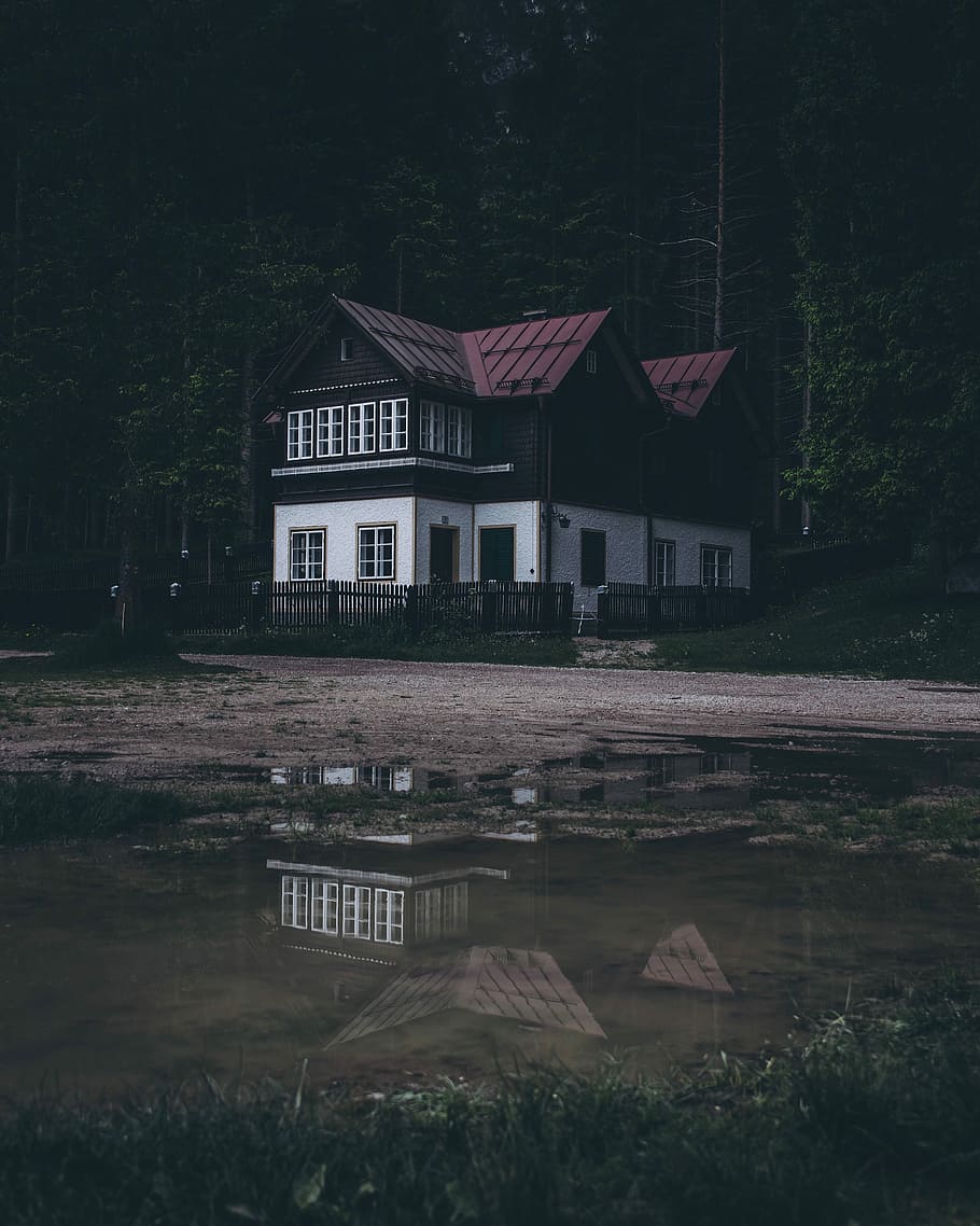 white and black wooden house in the middle of foresh, white and brown house surround trees HD wallpaper