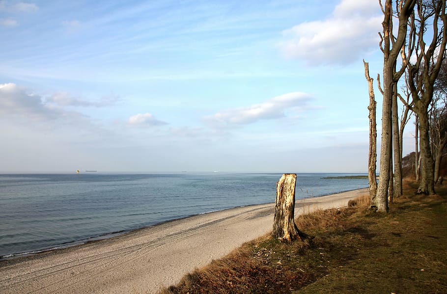 beach, sea, ocean, forest, wide, sky, beauty in nature, scenics - nature HD wallpaper