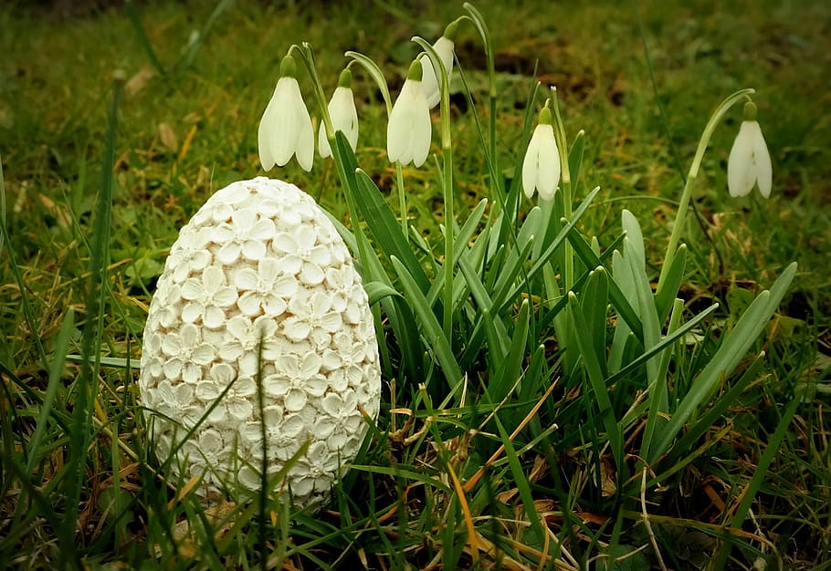 easter, easter egg, easter decoration, happy easter, spring HD wallpaper