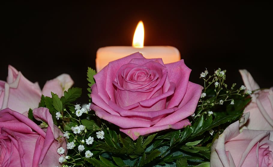 HD%20wallpaper:%20pink%20roses%20and%20white%20candle,%20candles,%20flame,%20christmas,%20%20arrangement%20|%20Wallpaper%20Flare