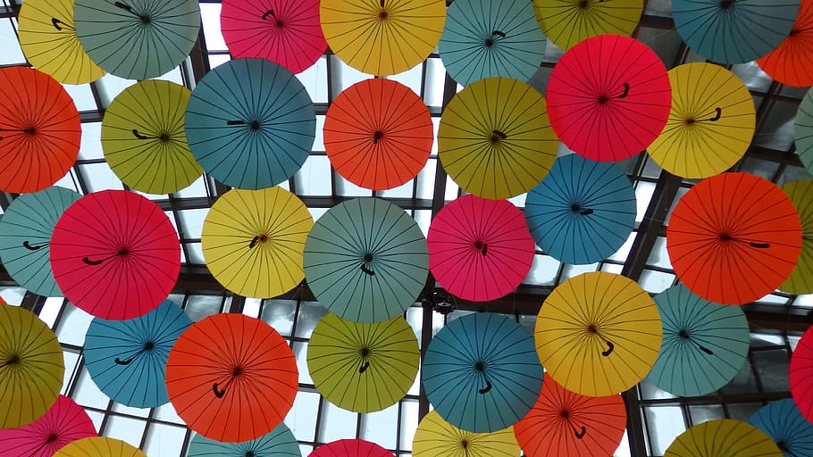 Mall, Decor, Umbrella, Interior, flower, abundance, yellow HD wallpaper
