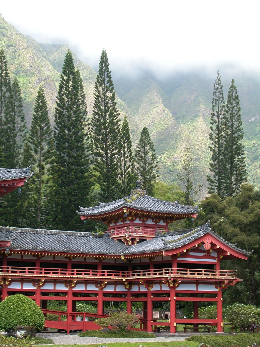 temple, hawaii, trees, architecture, building, landmark, city HD wallpaper