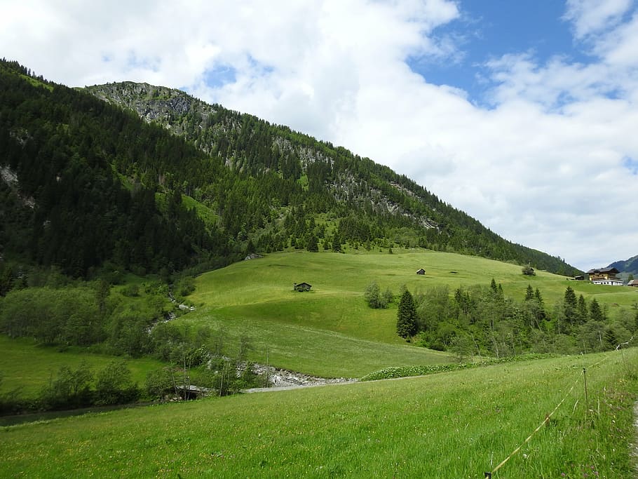 austria, mountains, meadow, forest, nature, landscape, salzburg HD wallpaper