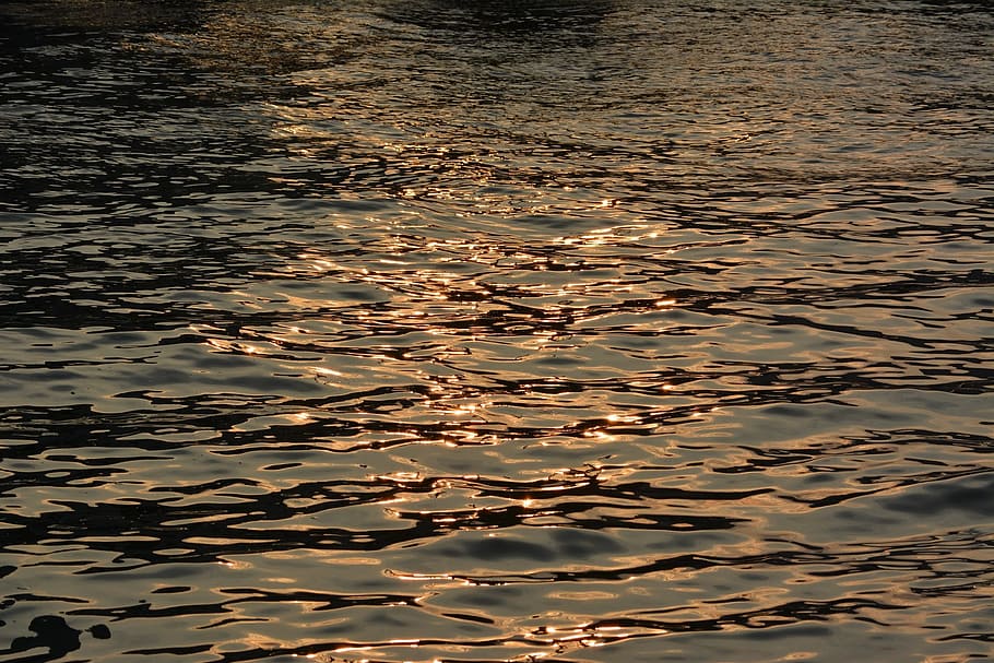 Water, River, Sunset, Flow, Comfort, light, nature, reflection HD wallpaper