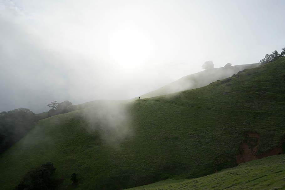 green grass, photo of mist and mountains, hill, cloud, fog, nature HD wallpaper