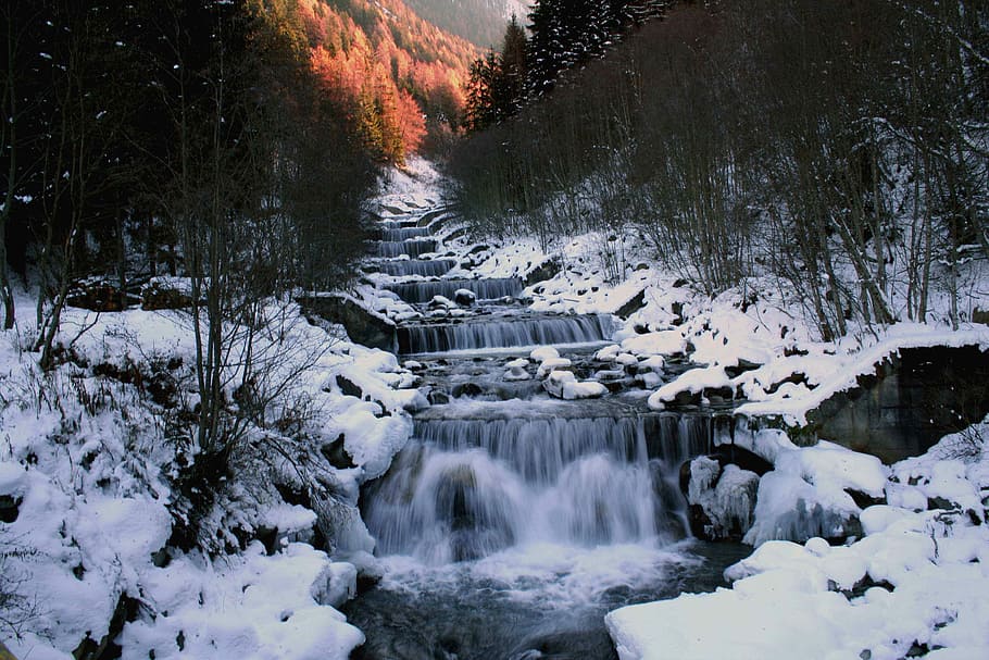 waterfalls between leafless trees and ground covered with snow, water falls covered with snow pile HD wallpaper