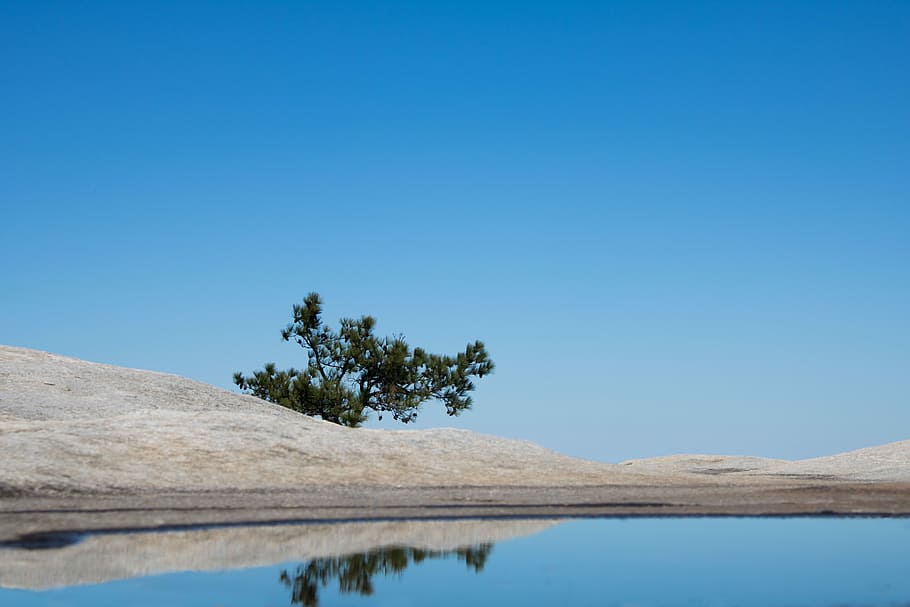 green foliage tree near water, reflection, blue sky, rock, scenics - nature HD wallpaper