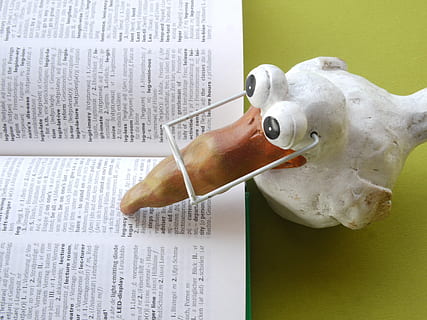 white printer book page, school, know, read, learn, education HD wallpaper