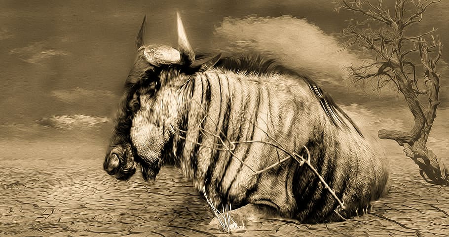 gnu-wildlife-drought-painting.jpg