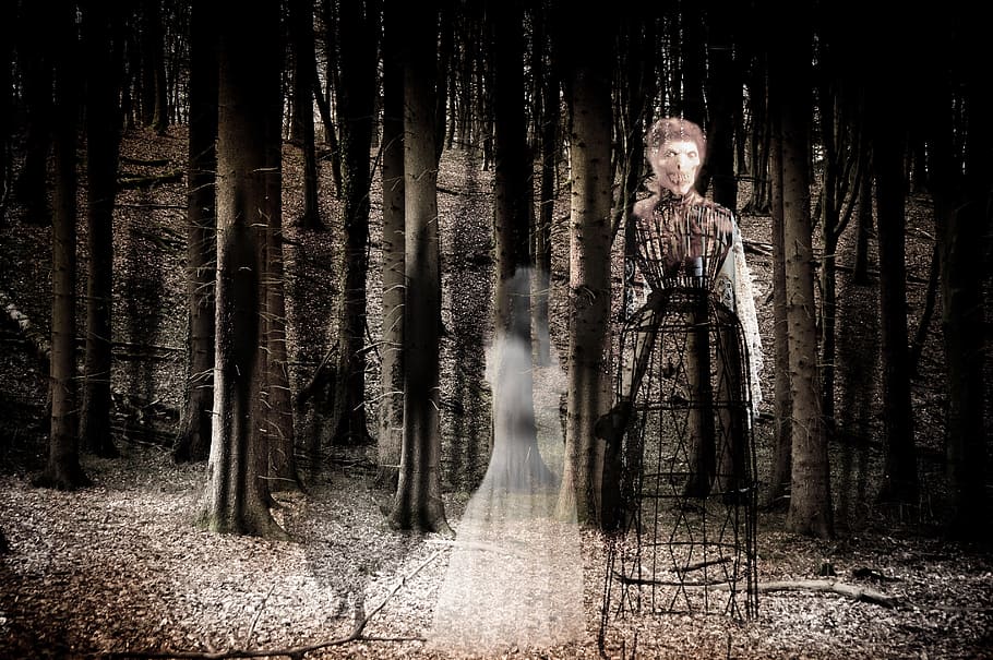 two ghost in the forest graphic art, ghosts, spirit, mystical, HD wallpaper