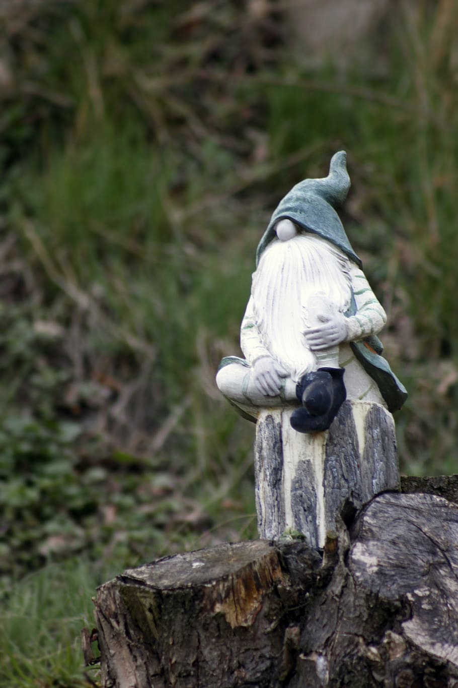 macro shot of gnome figurine on tree log, dwarf, imp, garden gnome, HD wallpaper
