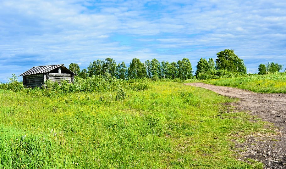 gray log cabin surrounded by forest, hut, path, clouds, cottage HD wallpaper