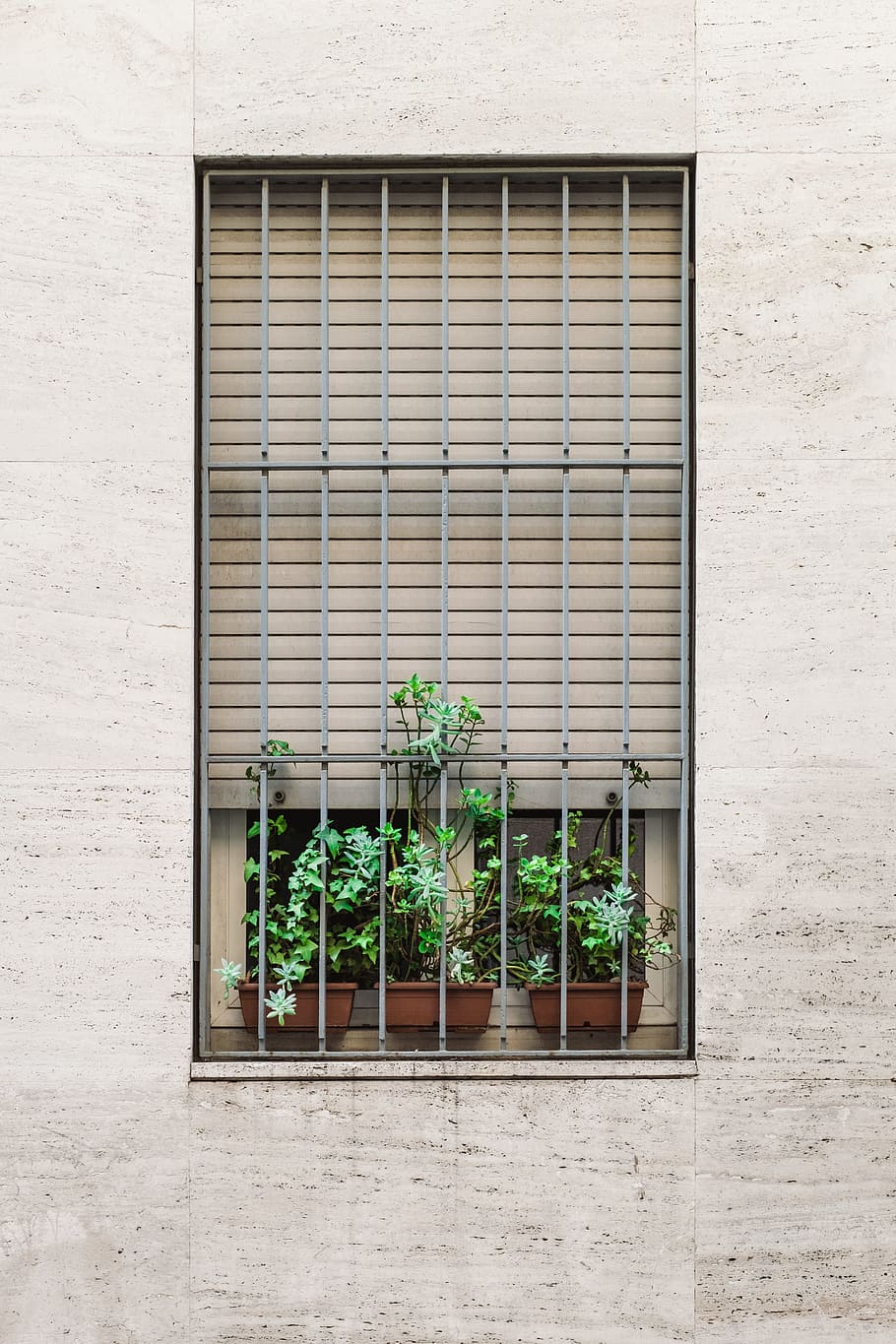 green plants on the window with steel grill, gray steel window gate with three plants inside HD wallpaper
