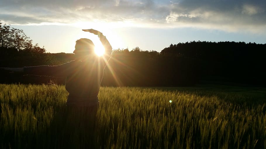 silhouette of man on grass field, qi gong, nature, sunset, pose