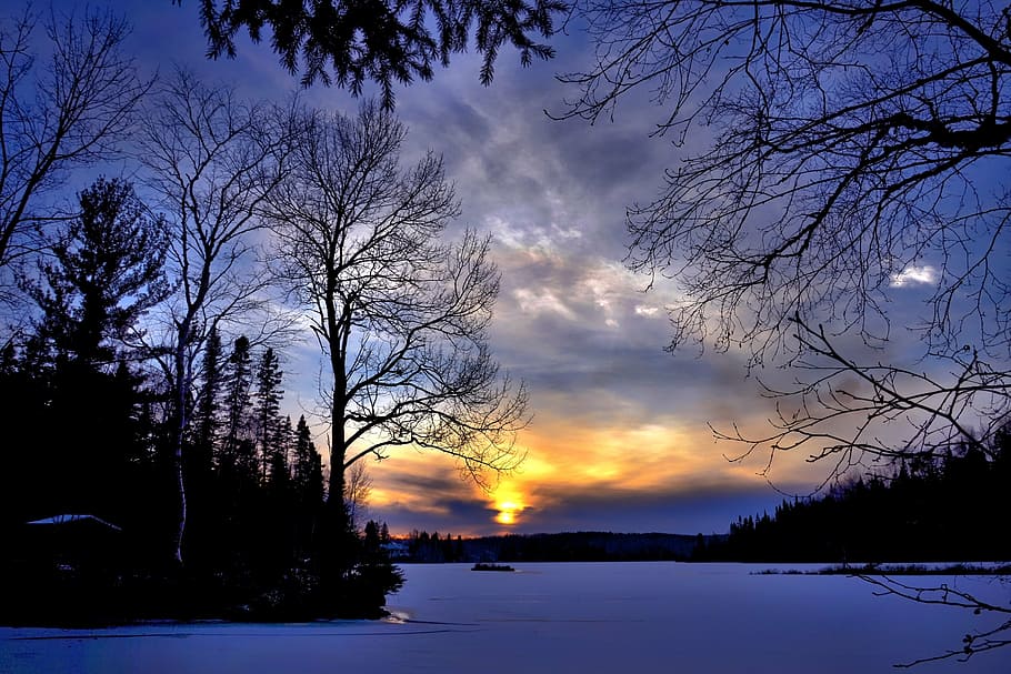 silhouette of trees and snow, winter landscape, sunset, evening HD wallpaper