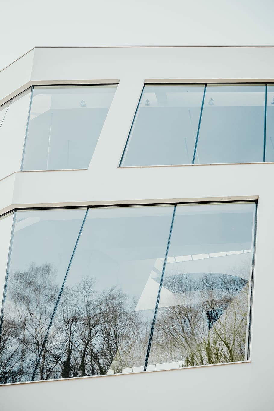 closed clear glass windows of white building, reflection of trees on glass windows HD wallpaper