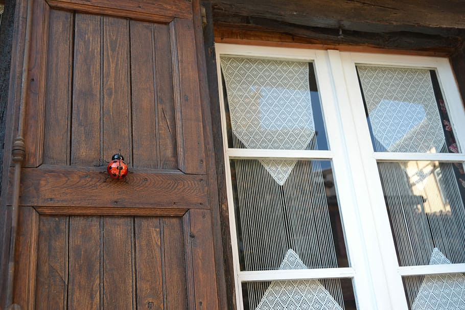 window, ladybug, wood, wood - material, built structure, architecture HD wallpaper