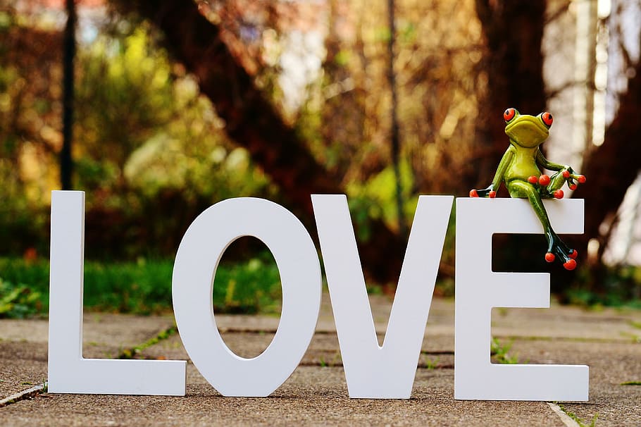 Love signage, frog, valentine's day, greeting card, romance, affection, HD wallpaper