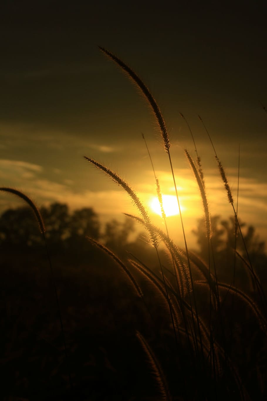 sunset, sky, afternoon, summer, nature, orange, evening, outdoor HD wallpaper