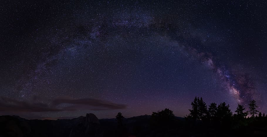 silhouette of tree, stars above trees panoramic photography, Milky Way HD wallpaper
