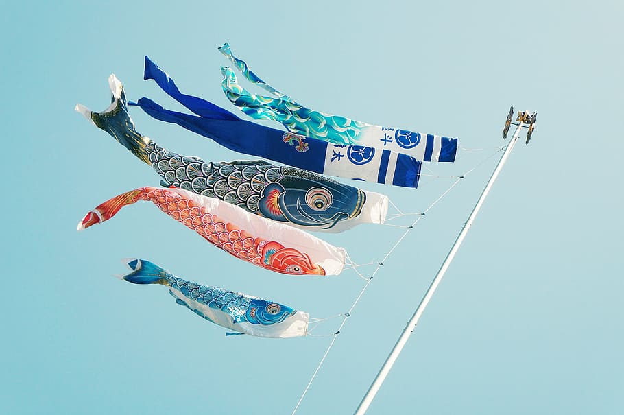 still, items, things, kites, banners, koi, graphic, design HD wallpaper