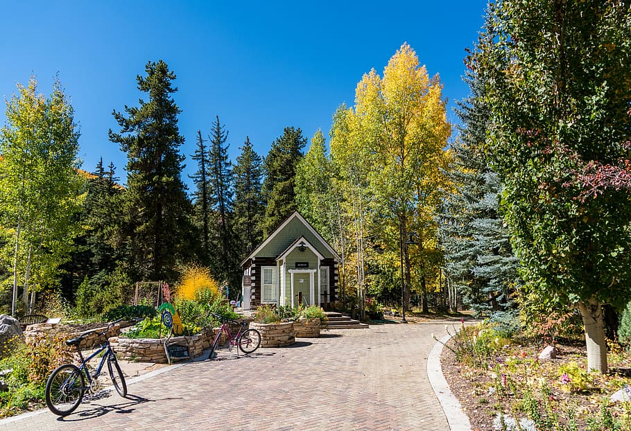 vail, colorado, foliage, betty ford park, structure, nature, HD wallpaper