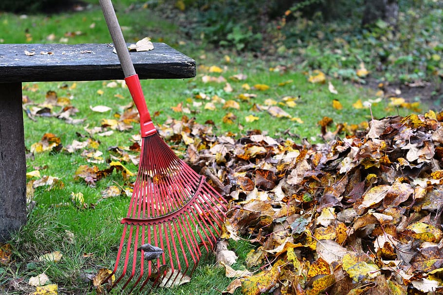 red and brown garden rake leaning beside brown wooden bench and yellow and brown fall leaves at daytime HD wallpaper