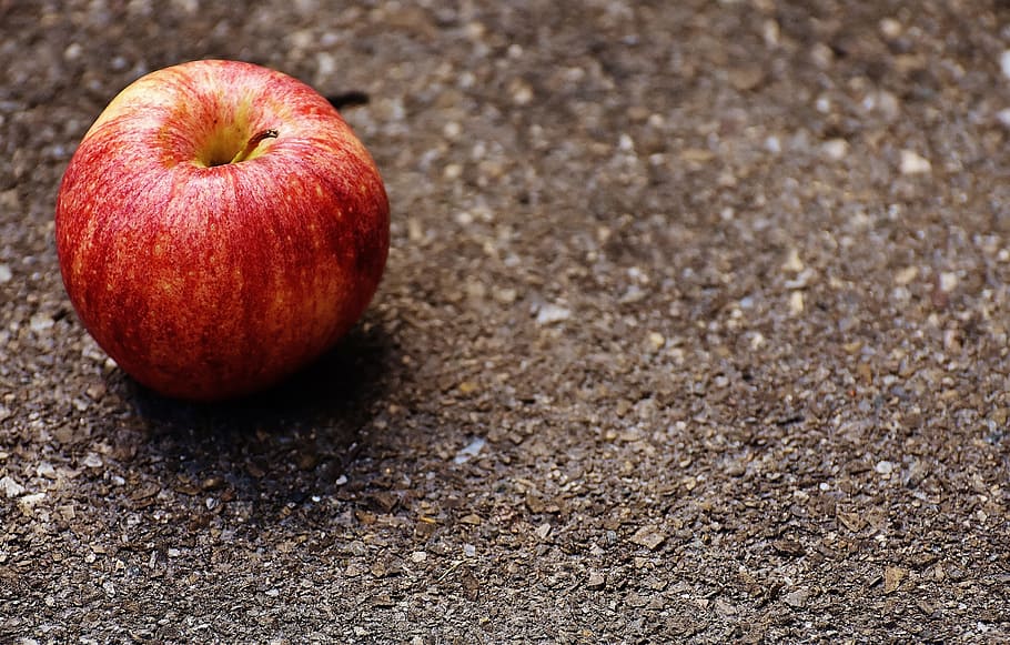 Apple, Red, Delicious, Fruit, Ripe, red apple, frisch, vitamins HD wallpaper
