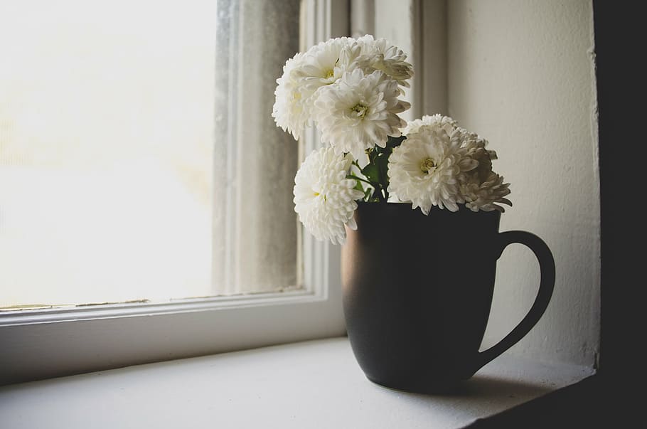 beautiful, bloom, blossom, bright, ceramic cup, close-up, decoration, HD wallpaper