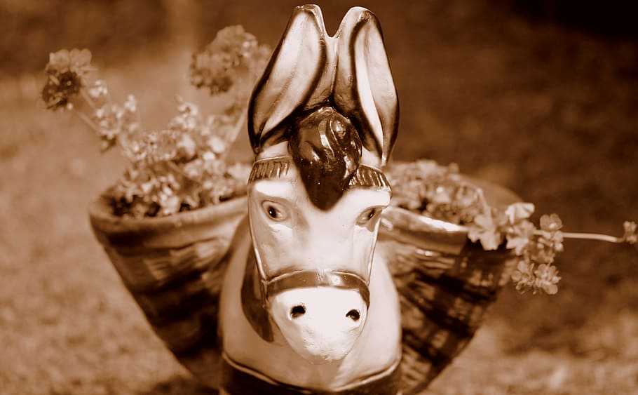 donkey, flowers, statuette, rustic, hotchpotch, representation HD wallpaper