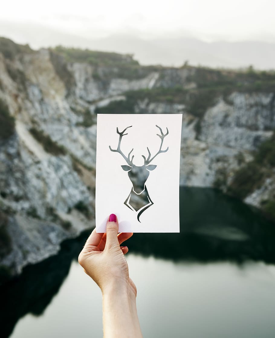 woman holding deer-printed paper in front mountains during daytime, HD wallpaper